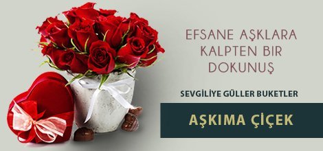 Ankara Çiçekçilik -  Ankara Çiçekçi Ankara Çiçek web tasarım