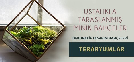 Ankara Çiçekçilik -  Ankara Çiçekçi Ankara Çiçek web tasarım