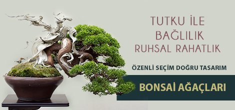Ankara Çiçekçilik -  Ankara Çiçekçi Ankara Çiçek web tasarım