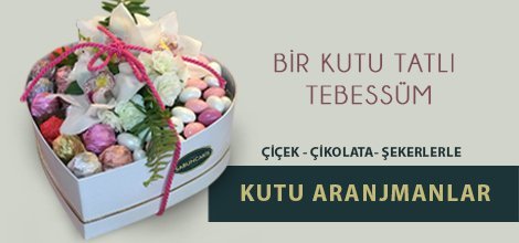 Ankara Çiçekçilik -  Ankara Çiçekçi Ankara Çiçek web tasarım